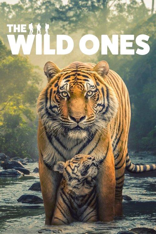 The Wild Ones poster