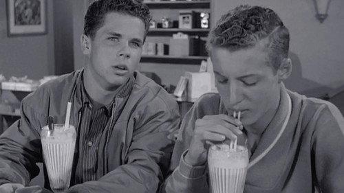 Leave It to Beaver Season 4 Episode 8 - Eddie's Double-Cross