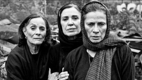 Killer Women Season 3 Episode 14 - Las Cotuchas, Empresarias