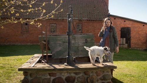 SOKO Wismar Season 12 Episode 12 - Episode 12