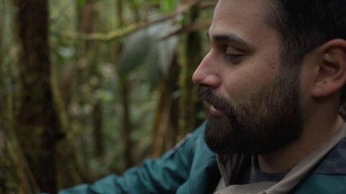 Animales en peligro Season 1 Episode 4 - Episode 4