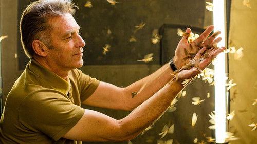 Waterhole: Africa's Animal Oasis Season 1 Episode 3 - Episode 3