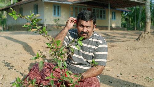 Perilloor Premier League Season 1 Episode 2 - Not Heaven, But Hell