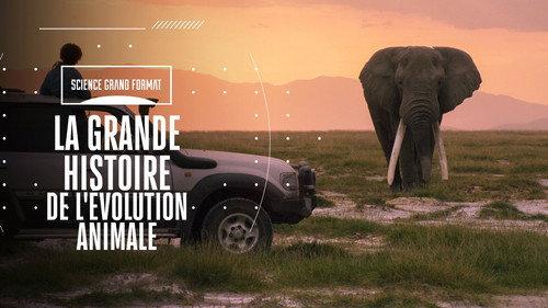 Science grand format Season 4 Episode 10 - Episode 10