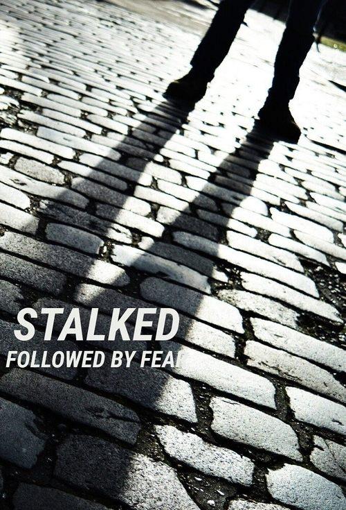 Stalked: Followed By Fear poster