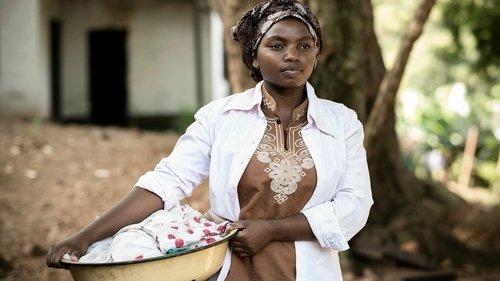 Background image for The Phoenix Strangler (2)