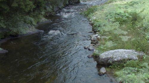 Wild Germany Season 5 Episode 3 - Episode 3