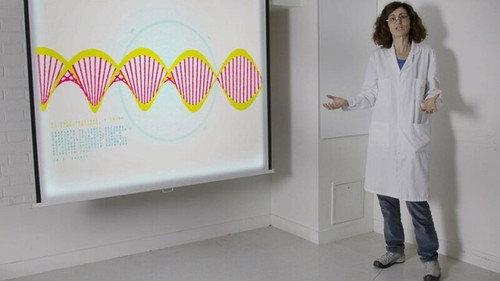 42: The Answer to Almost Everything Season 1 Episode 6 - Can Algorithms Make Us Healthy?