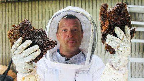 Louis and the Urban Jungle Season 3 Episode 9 - Episode 9