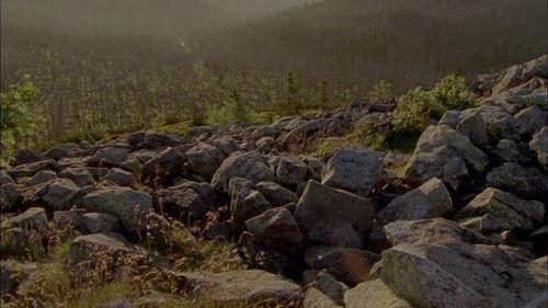 Wild Germany Season 2 Episode 5 - The Bavarian Forest