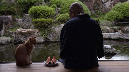 A Cat's-Eye View of Japan Season 4 Episode 1 - Tottori: Quiet Mountain Villages