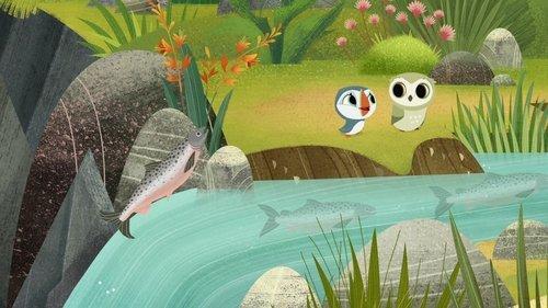Puffin Rock Season 2 Episode 5 - The Salmon Leap