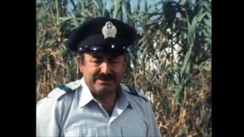 At the Campsite Season 1 Episode 11 - Episode 11