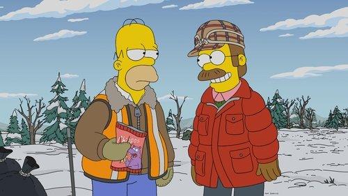 The Simpsons Season 33 Episode 6 - A Serious Flanders (1)