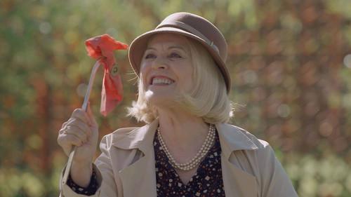 The Enchanted Cave Season 1 Episode 17 - Episode 17