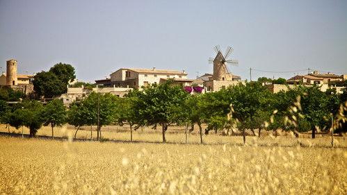 Die Balearischen Inseln Season 1 Episode 1 - Episode 1