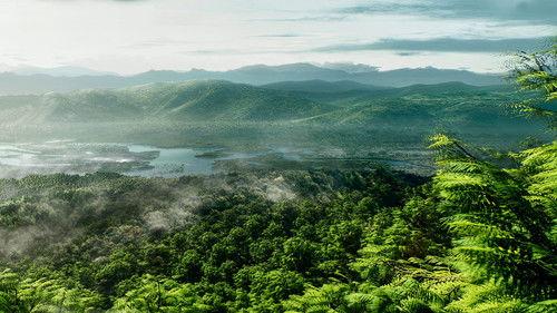 Earth Season 1 Episode 3 - Green