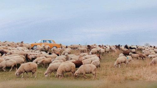 Lost in Moldova Season 1 Episode 2 - First day at School