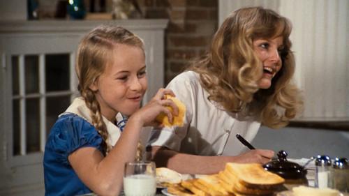 The Waltons Season 8 Episode 19 - The Last Straw