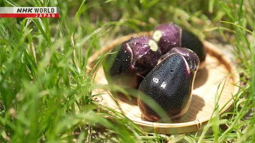Trails to Oishii Tokyo Season 7 Episode 14 - Eggplants