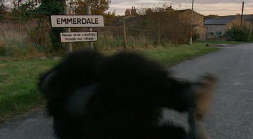 Harry Hill's TV Burp Season 8 Episode 5 - Episode 5