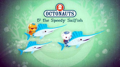 Octonauts Season 1 Episode 17 - The Speedy Sailfish