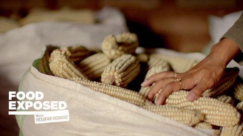 Food Exposed with Nelufar Hedayat Season 1 Episode 5 - GMOs