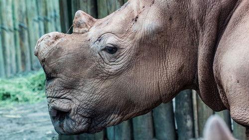 The Wonder List with Bill Weir Season 2 Episode 5 - Botswana: The Hunters & the Hunted