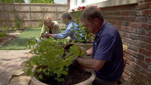 Ask This Old House Season 14 Episode 7 - Butterfly Garden, Dark Closet