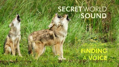 The Nature of Things Season 63 Episode 103 - Secret World of Sound: Finding a Voice