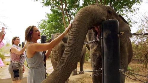 The Real Housewives of Dallas Season 4 Episode 13 - One Fight in Bangkok