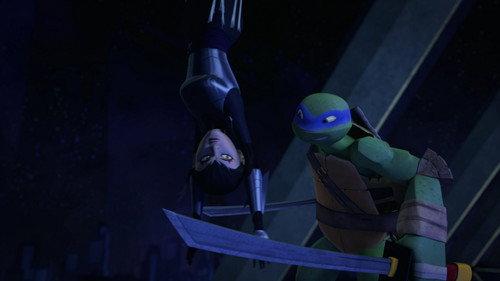 Teenage Mutant Ninja Turtles Season 4 Episode 17 - The Insecta Trifecta