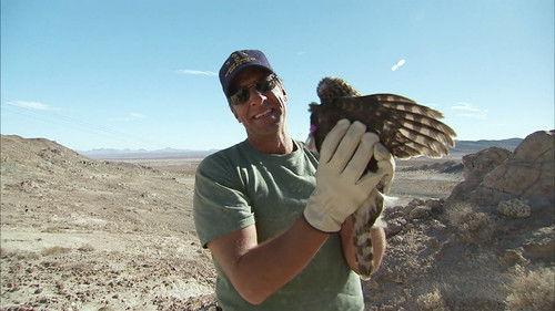 Dirty Jobs Season 4 Episode 6 - Mud Mineral Excavator