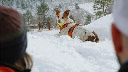 The Wizard of Paws Season 4 Episode 1 - Ski Pawtrol