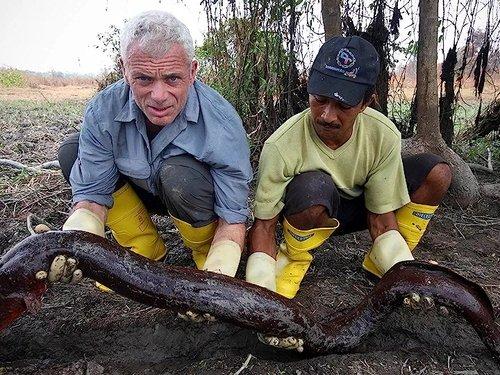 River Monsters Season 3 Episode 5 - Electric Executioner