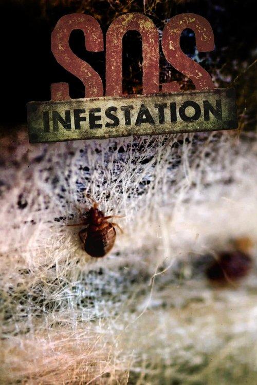 SOS Infestation poster