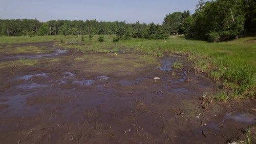 The Curse of Oak Island Season 11 Episode 12 - Digging Back In