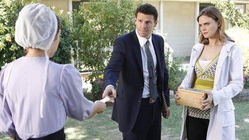 undefined Season 5 Episode 3 - The Plain in the Prodigy