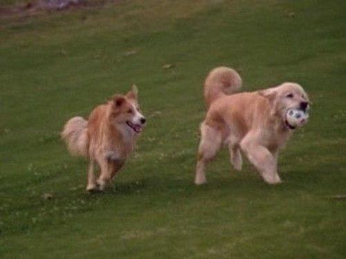 7th Heaven Season 3 Episode 20 - All Dogs Go to Heaven