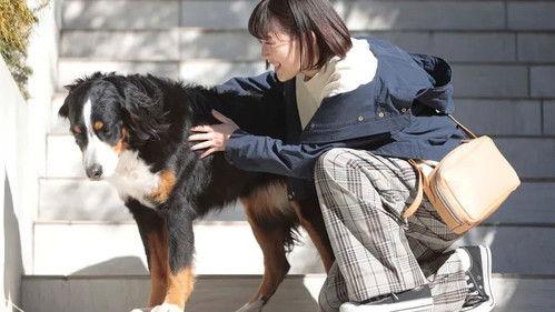 Legal Enforcement With Dogs Season 1 Episode 2 - Episode 2