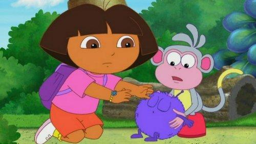 Dora the Explorer Season 6 Episode 4 - Baby Winky Comes Home