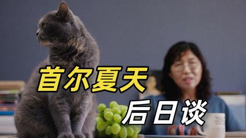 食贫道 Season 13 Episode 13 - Episode 13