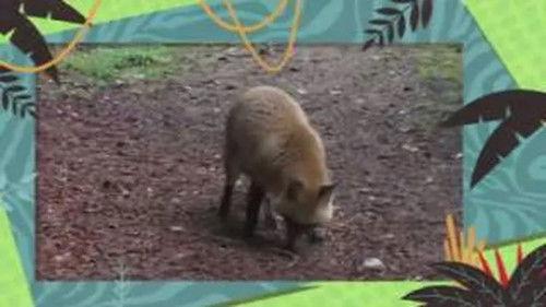 Kukurota Season 2 Episode 1 - Episode 1