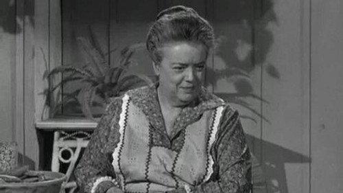 The Andy Griffith Show Season 2 Episode 9 - Aunt Bee's Brief Encounter