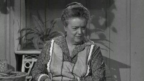 undefined Season 2 Episode 9 - Aunt Bee's Brief Encounter