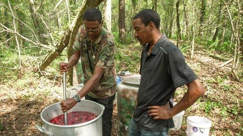 Moonshiners Season 14 Episode 10 - Floodwater Runs Deep