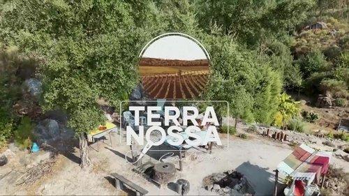 Terra Nossa Season 8 Episode 17 - Episode 17