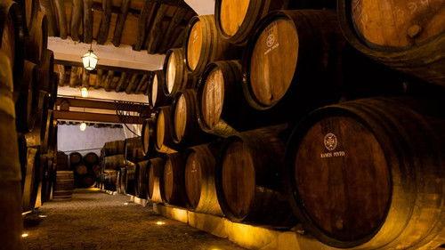 Wie is de Mol? Season 26 Episode 2 - Episode 2