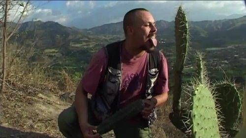 Madventures Season 1 Episode 16 - Episode 16