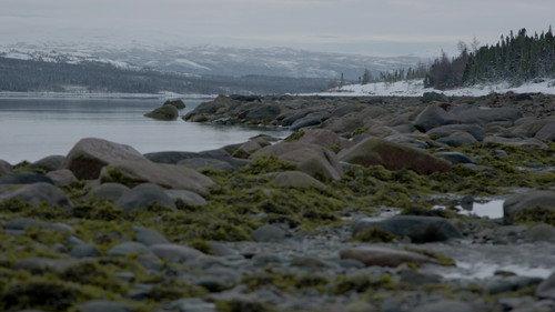 Alone: Frozen Season 1 Episode 7 - The Last Hope